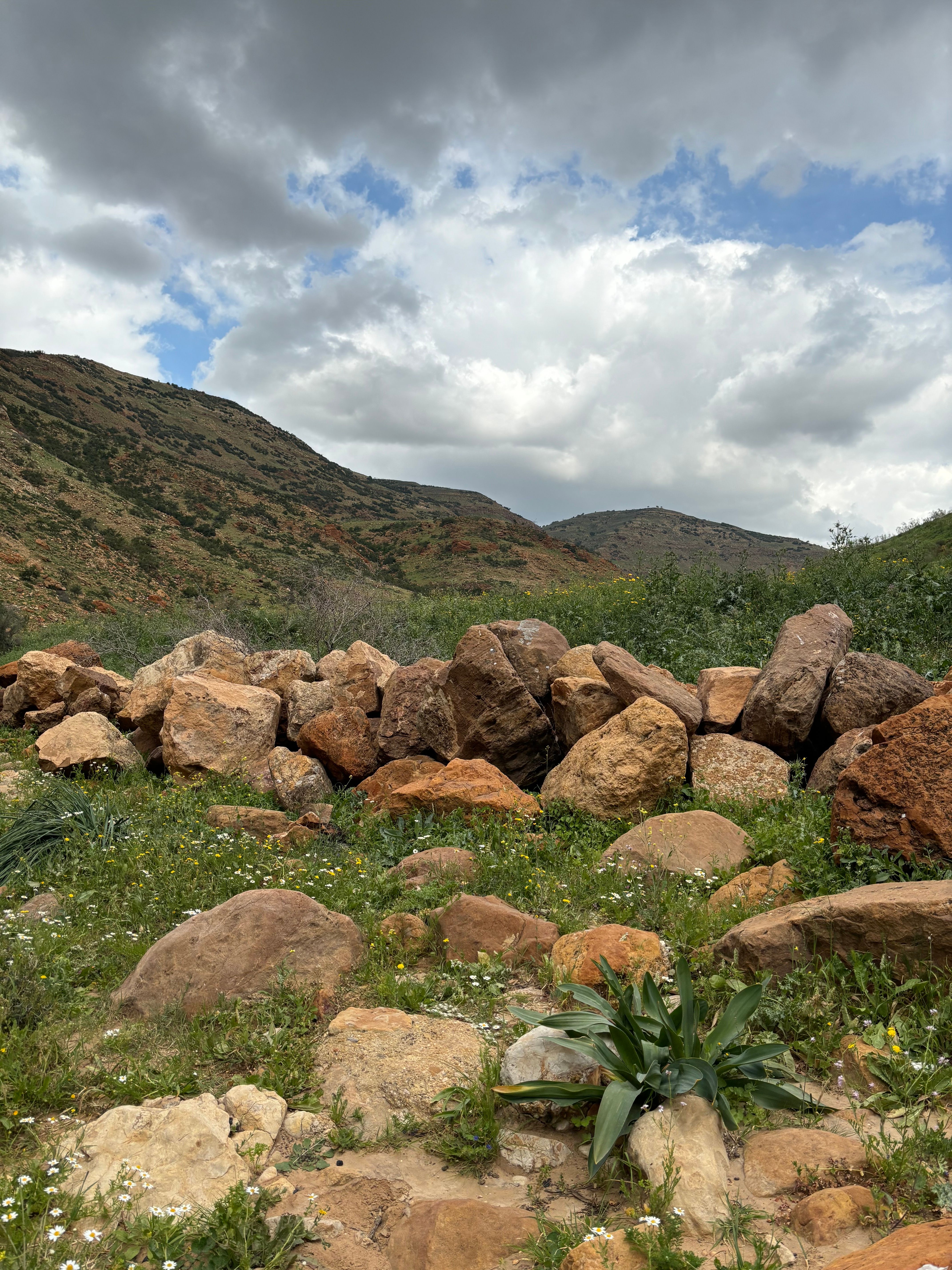 Rocks and Stones on Meadow in Countryside · Free Stock Photo