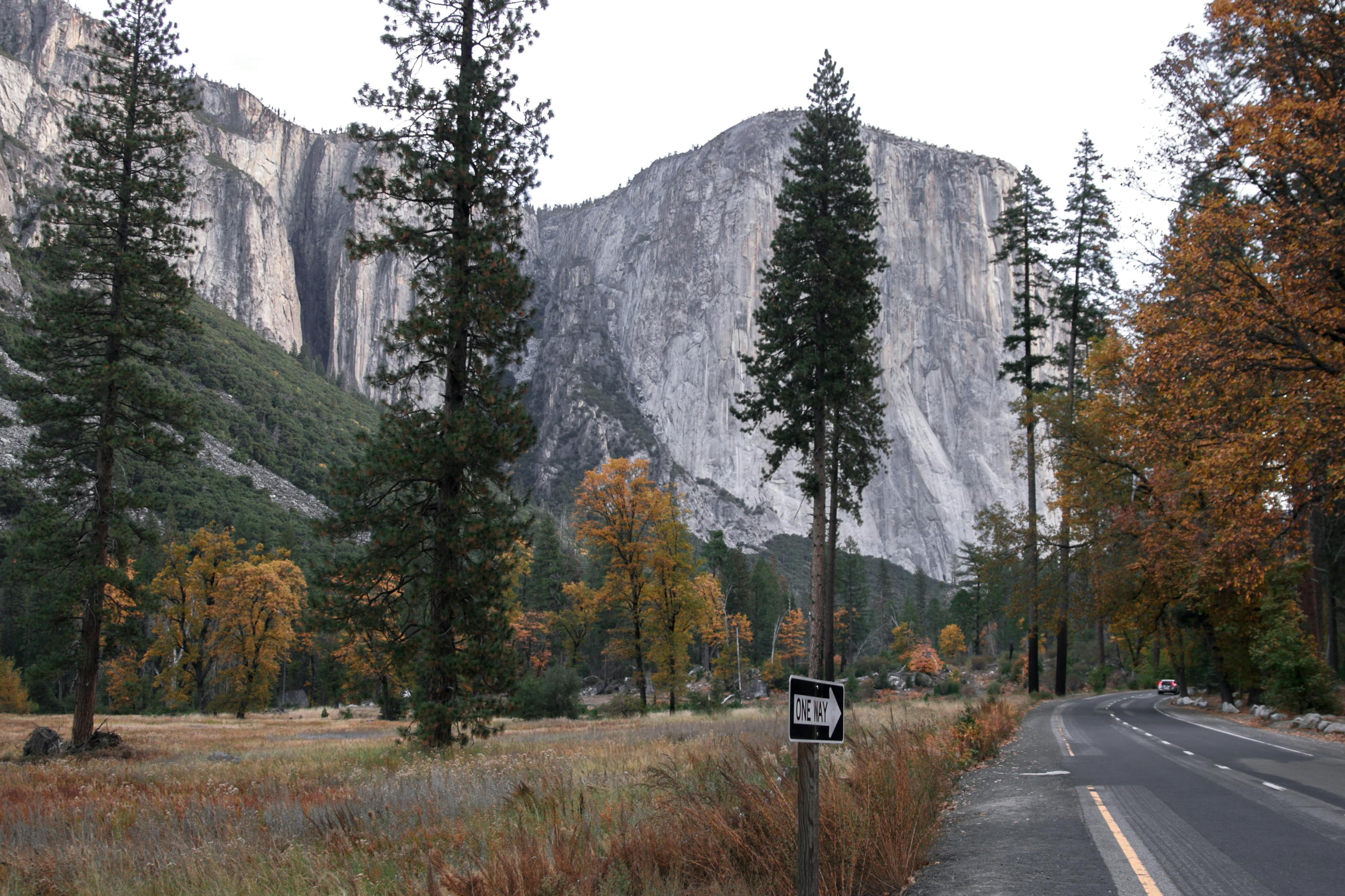 Autumn landscape showcasing El Capitan in Yosemite with colorful trees and a clear road.