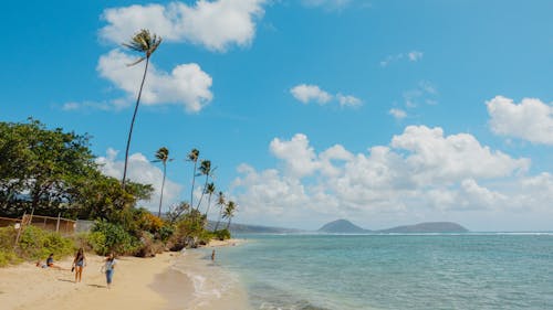 Základová fotografie zdarma na téma dovolená, havaj, idylický