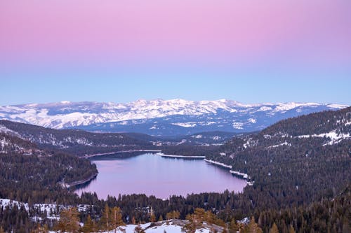 Foto d'estoc gratuïta de bosc, conífera, estany