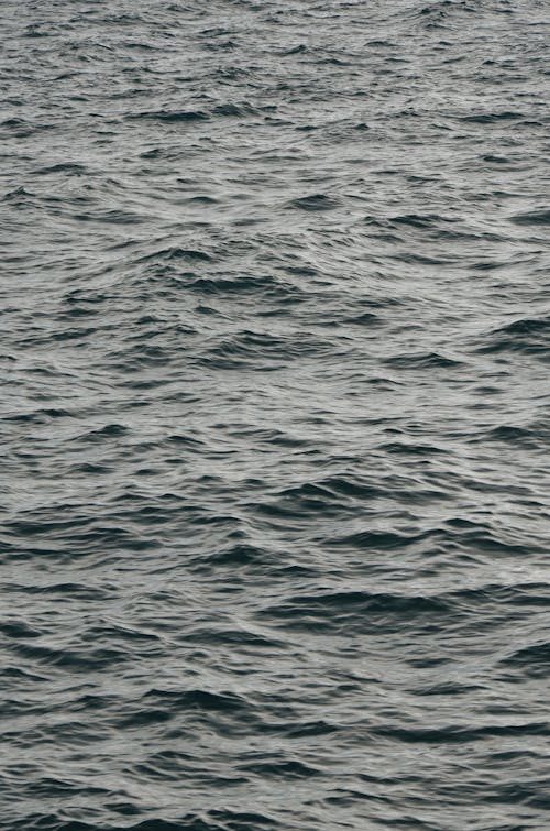 물, 물결 모양, 바다의 무료 스톡 사진