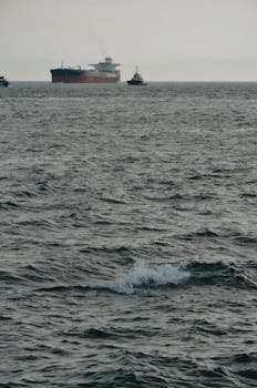 A cargo ship and pilot boat navigate the open sea under a cloudy sky.