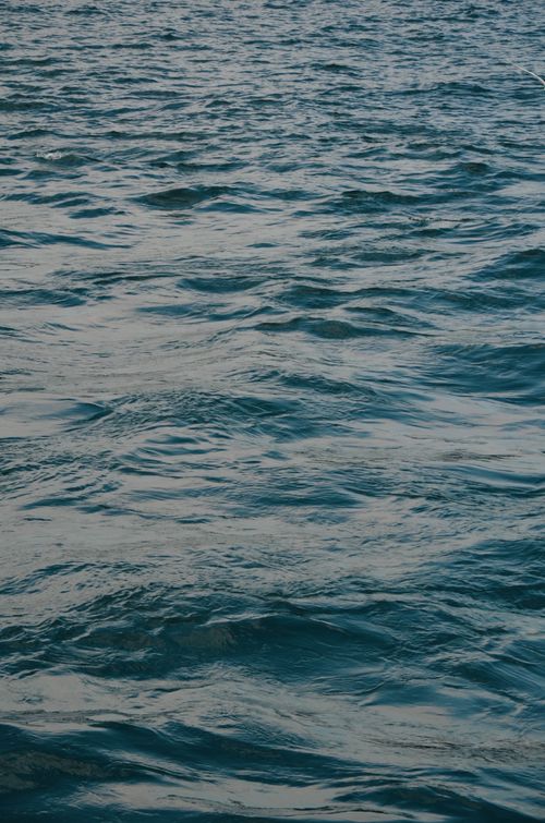 Free Peaceful ocean surface with gentle waves and shimmering reflections. Stock Photo