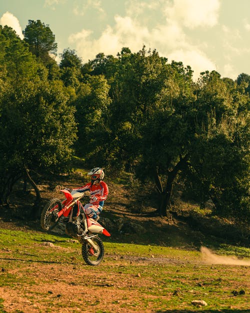 Δωρεάν στοκ φωτογραφιών με motocross, ανταγωνισμός, δέντρα