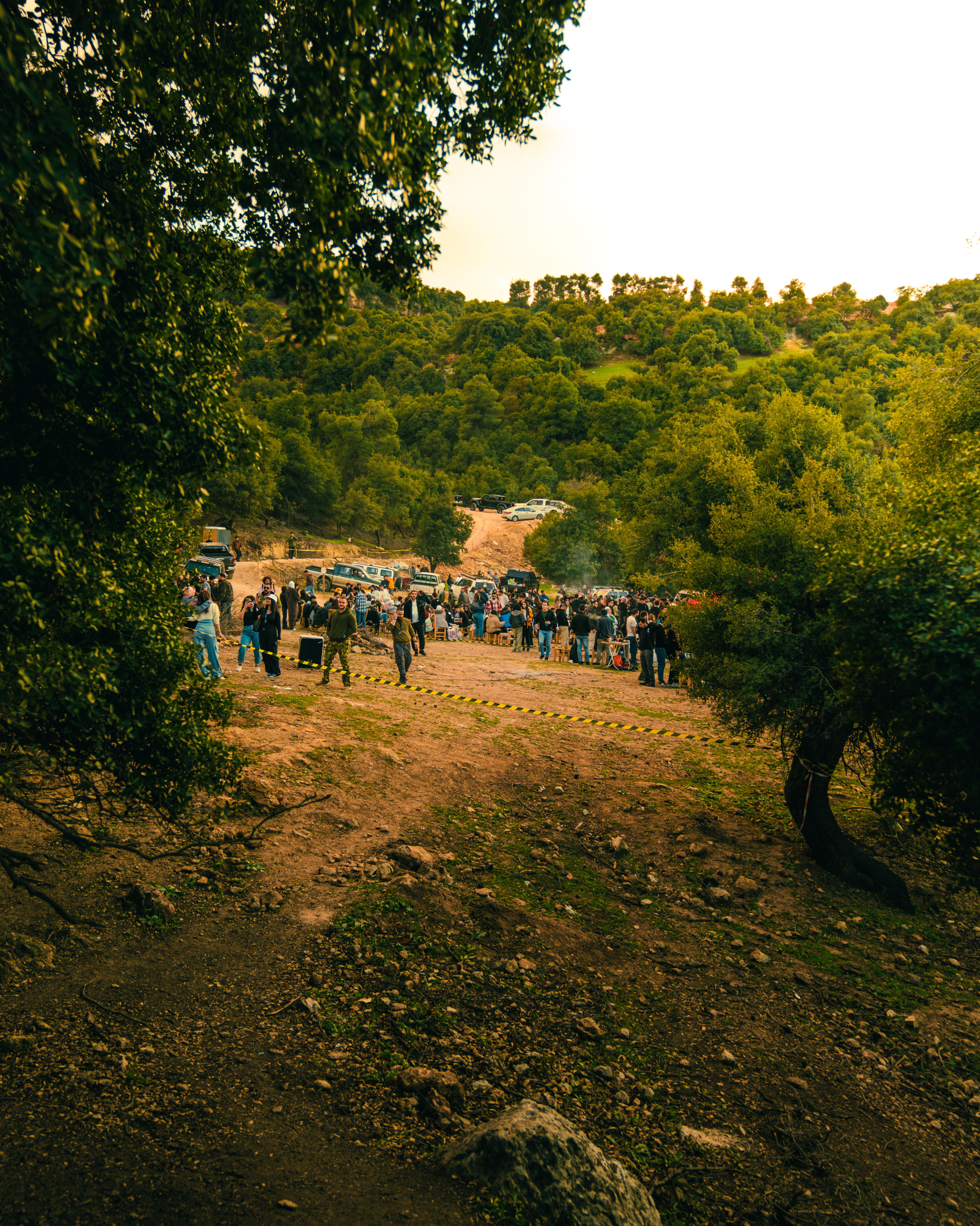A vibrant motocross event set in a forest clearing, capturing the thrill of motorsports in nature.