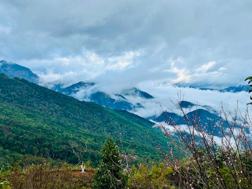 Foto profissional grátis de lao cai, yty