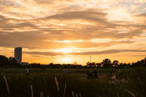 A sunset over a field with people riding motorcycles
