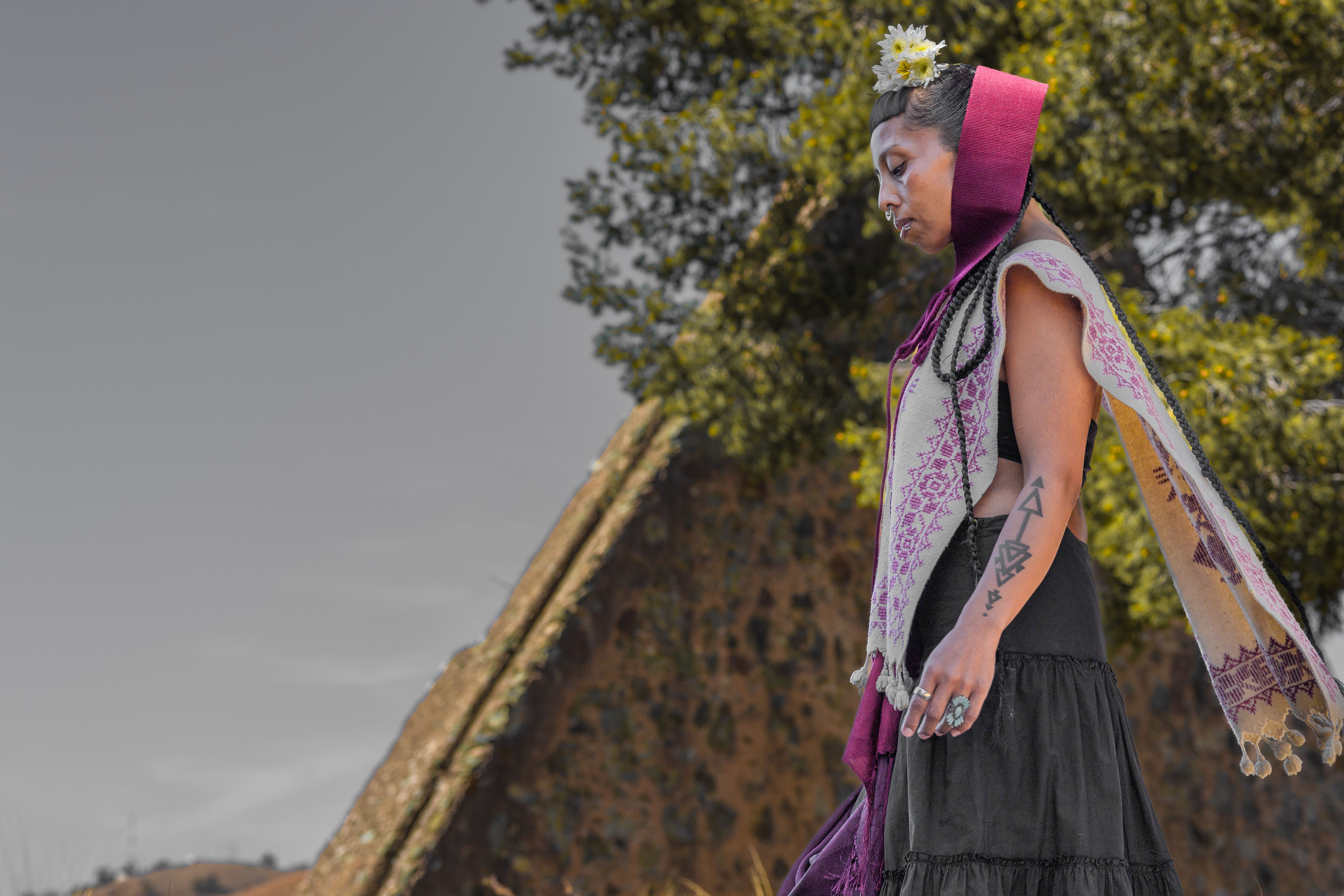 Woman Wearing a Traditional Dress · Free Stock Photo
