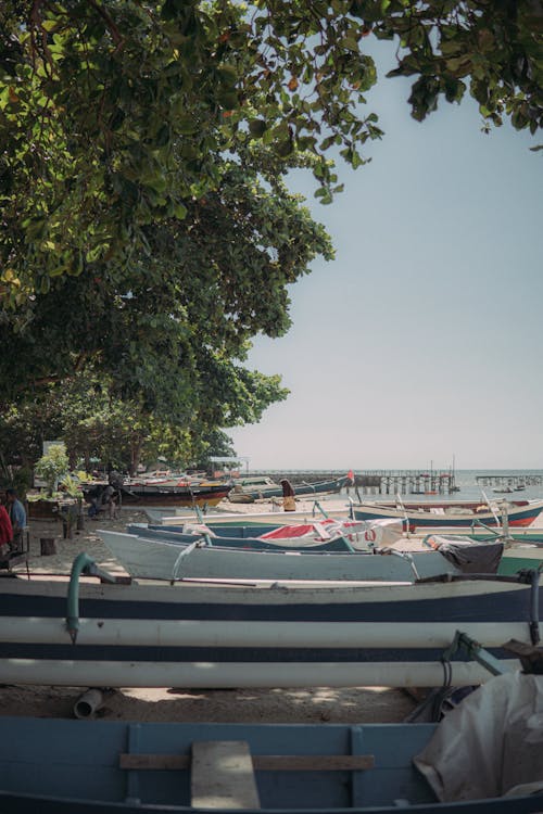 A row of boats parked on the beach near trees