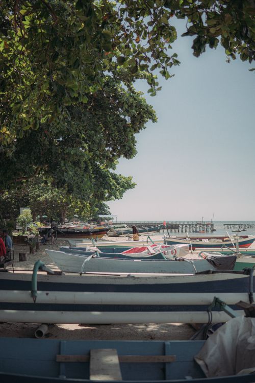 Free Peaceful beach lined with colorful boats under a clear sky and lush trees. Stock Photo