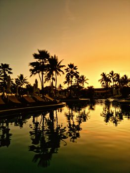 Stunning sunset with palm tree silhouettes reflecting in a serene pool at a tropical resort.