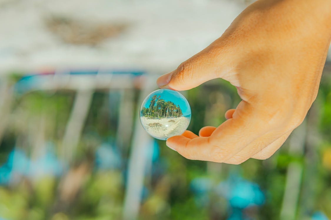 A person holding a small glass ball with a palm tree in it