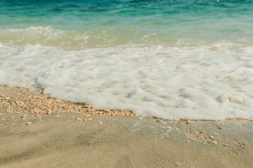 Free Peaceful sandy beach with gentle sea foam lapping at the shore, perfect for relaxation. Stock Photo
