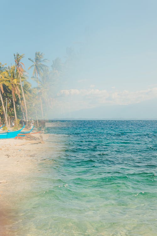 A photo of a beach with palm trees and blue water