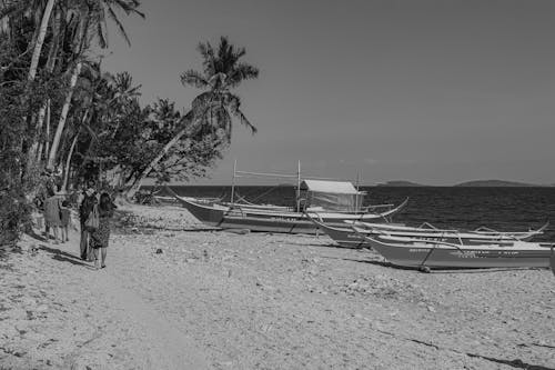 Безкоштовне стокове фото на тему «берег, вид ззаду, відпустка»