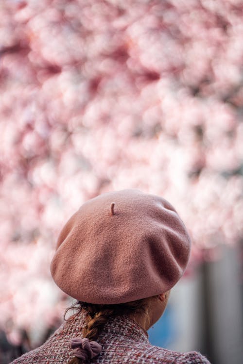 Cherry blossom in Tokyo