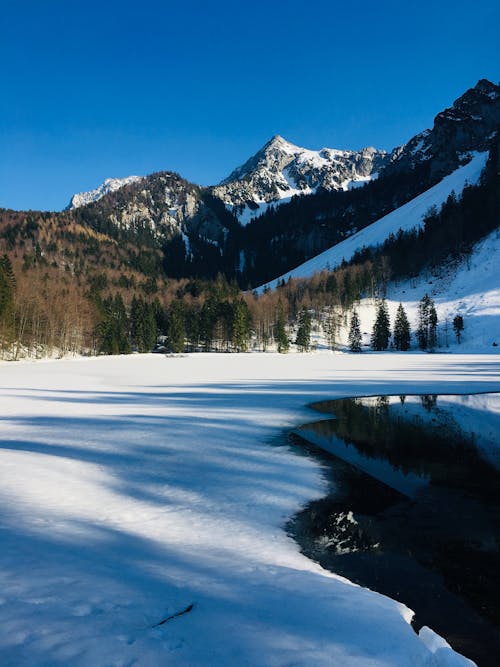 白雪皚皚的風景