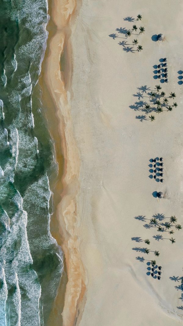 Explore a deslumbrante vista aérea de uma praia de areia no Vietnã com guarda-sóis e palmeiras.