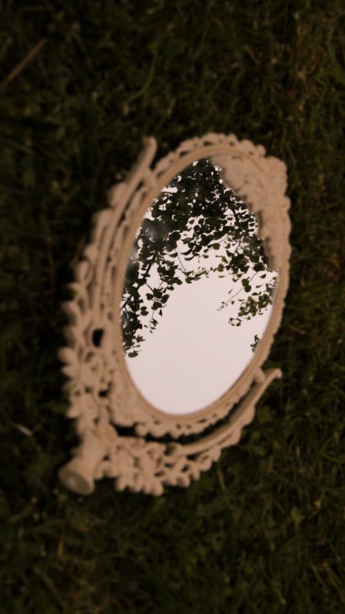 Fotos de stock gratuitas de afuera, al aire libre, amor