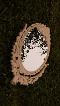 A vintage mirror reflecting trees on a grassy surface, creating an artistic scene.