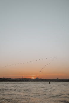 A breathtaking view of birds flying at sunset over the Istanbul skyline with the ocean.