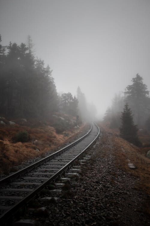 A train track in the foggy woods