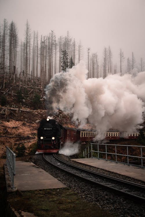 A steam train is traveling through the woods