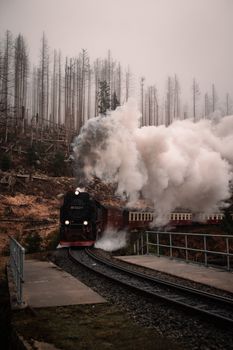 A vintage steam train traveling through a misty forested landscape, evoking a sense of nostalgia and adventure.