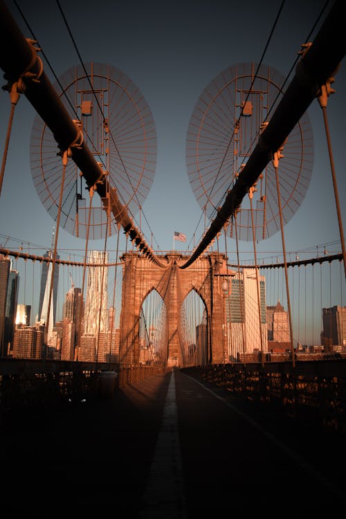 The brooklyn bridge is shown in this photo
