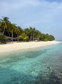Pristine Maldives beach with turquoise waters and palm trees under a clear sky.