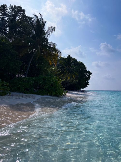 Free Serene tropical beach with palm trees and clear waters in the Maldives. Perfect summer getaway. Stock Photo