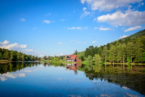 Ilmainen kuvapankkikuva tunnisteilla heijastus, järvi, kalkkuna