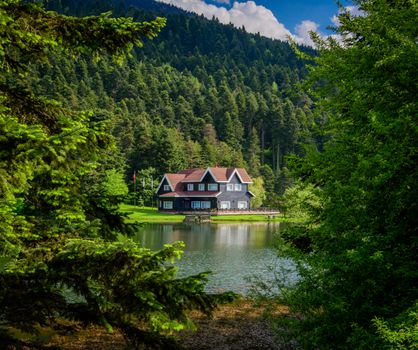 A view on a House Located Near the Abant Lake in Turkey