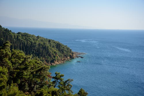 Foto profissional grátis de acima do mar, árvores, ilha