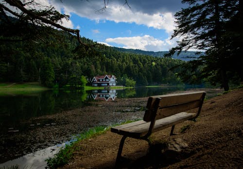 Foto profissional grátis de árvores, árvores verdes, casa