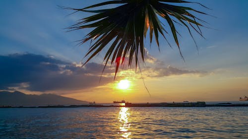 Foto profissional grátis de lago, lindo pôr do sol, pôr do sol dourado