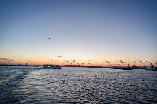 Free stock photo of beautiful sunset, birds, boat