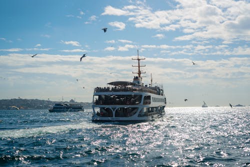 Ilmainen kuvapankkikuva tunnisteilla alukset, eläimet, Istanbul