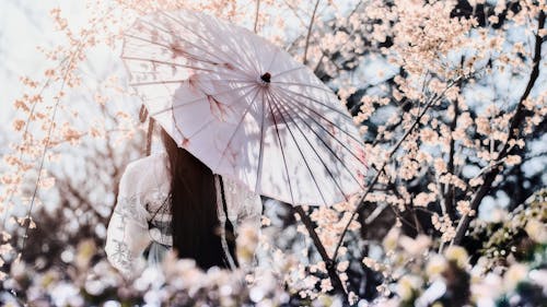 Free Photo of Woman Holding Umbrella Stock Photo