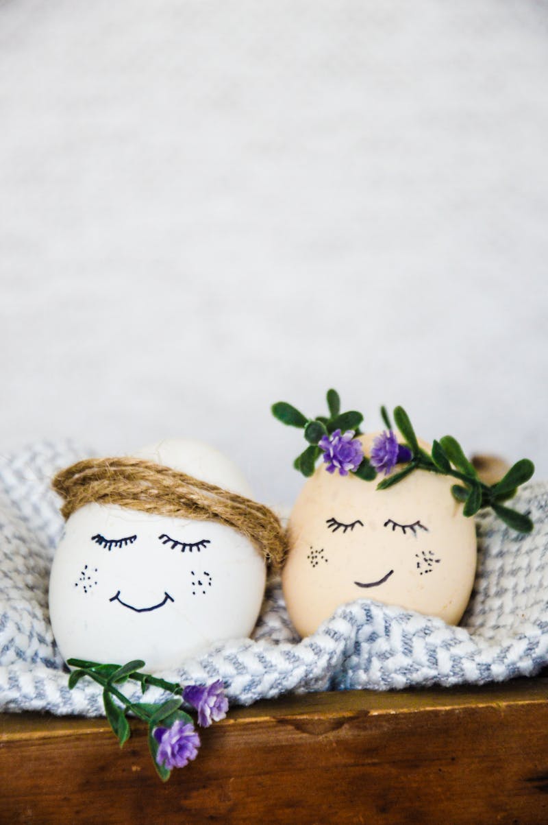 Deviled Eggs Photos, Download The BEST