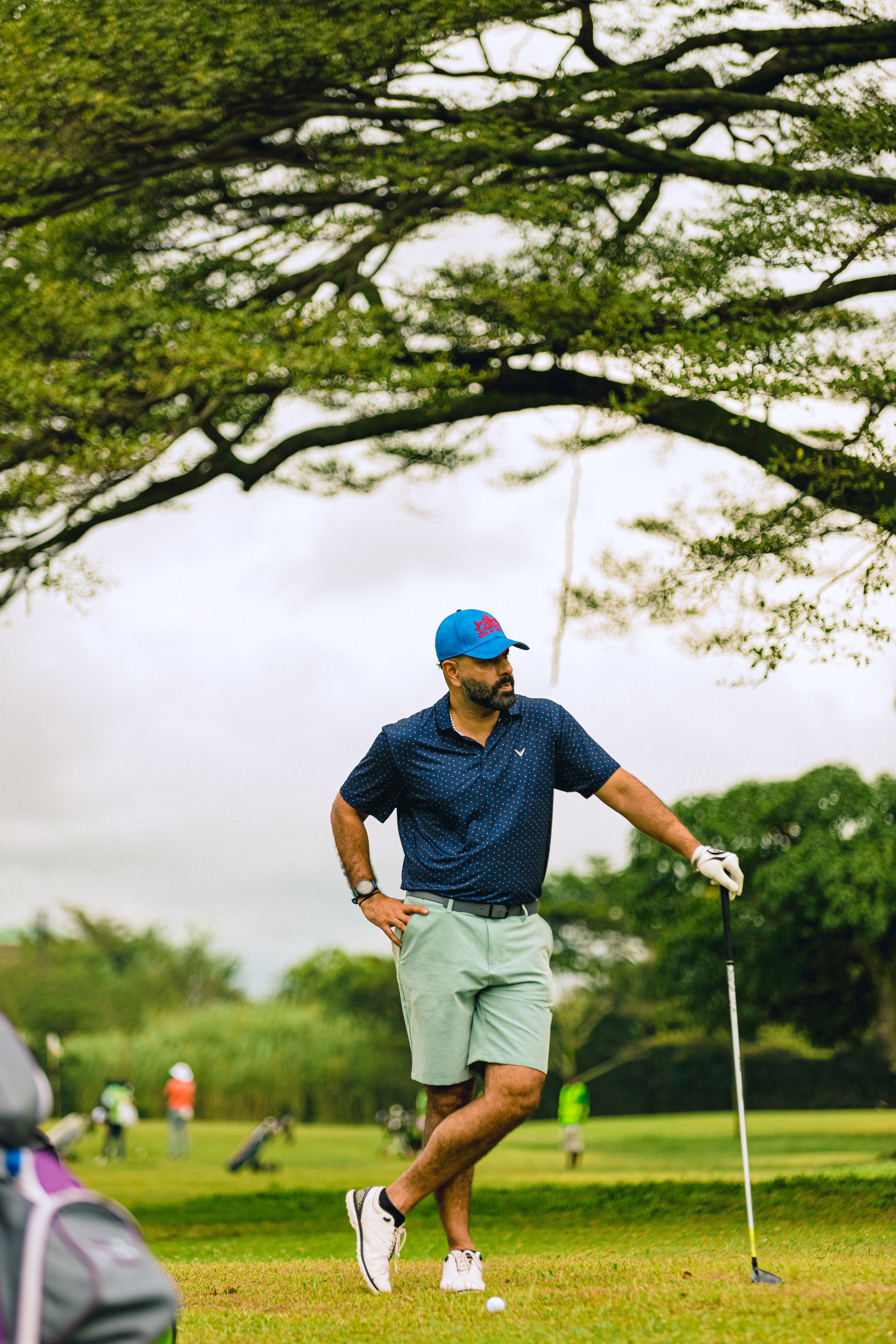 Celebrity golfers lining up putts on the green