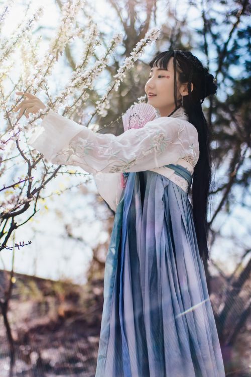 Free An Asian woman in a stunning traditional dress enjoys spring blossoms outdoors. Stock Photo