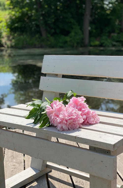Foto stok gratis badan air, bunga-bunga, karangan bunga