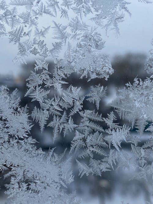 Frost on a window with a view of the city
