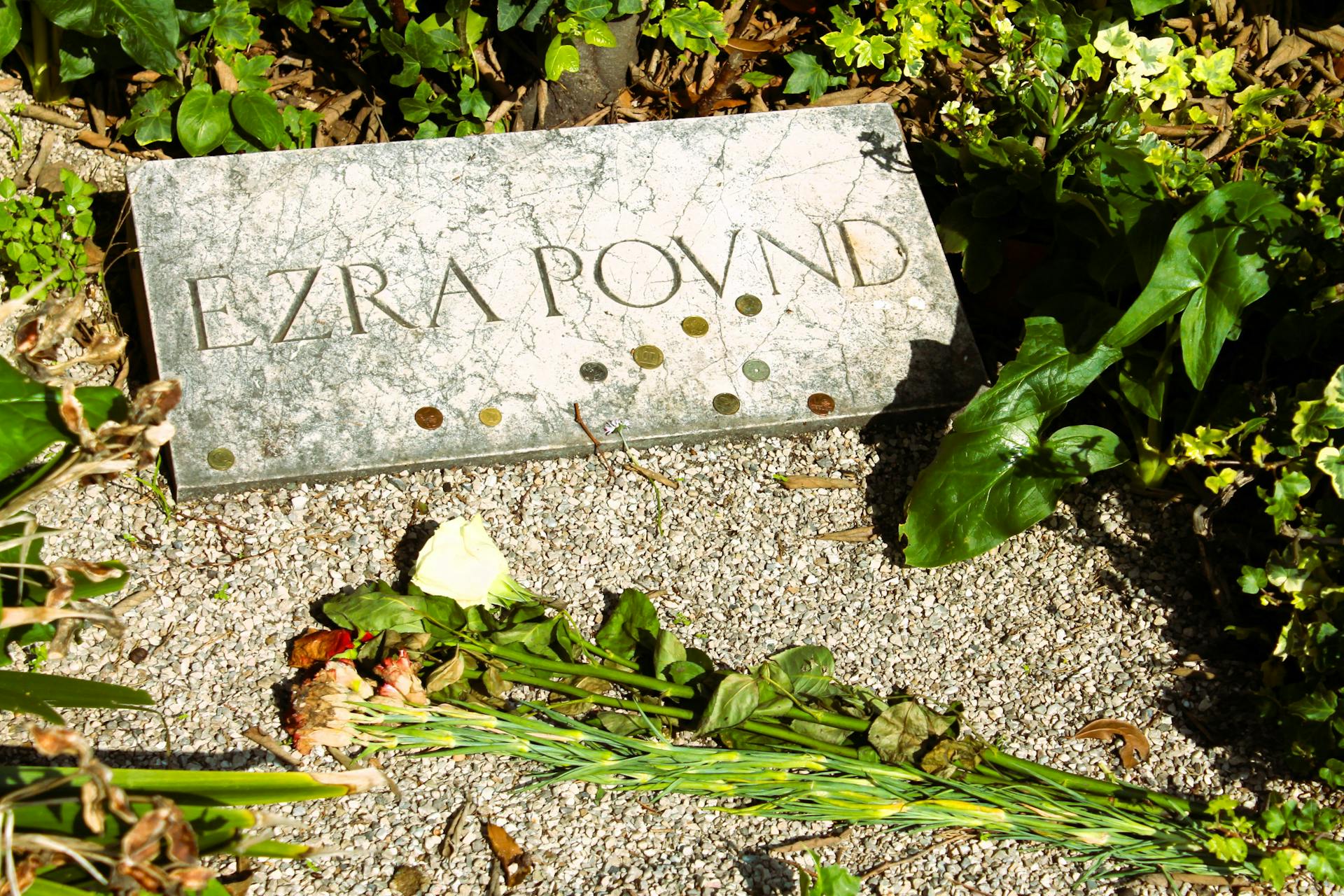 Close-up of Ezra Pound's tombstone surrounded by flowers and coins on a sunny day.