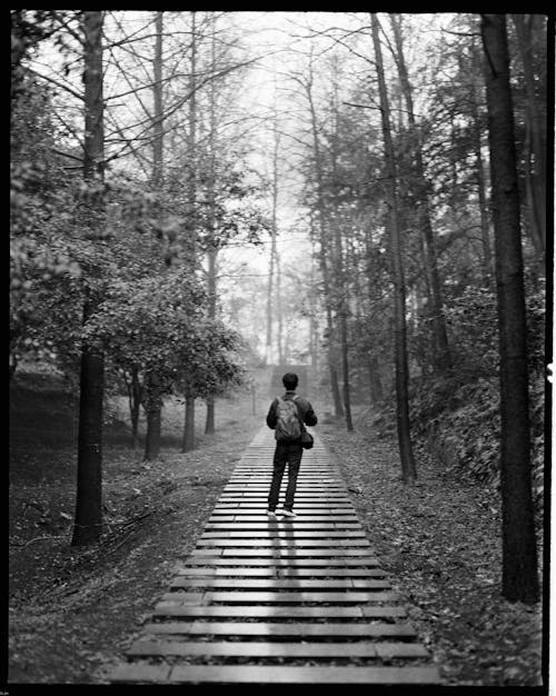 A person walking on a wooden walkway in the woods