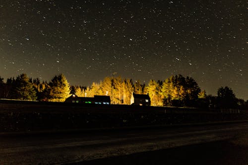 A night sky with stars and trees in the foreground