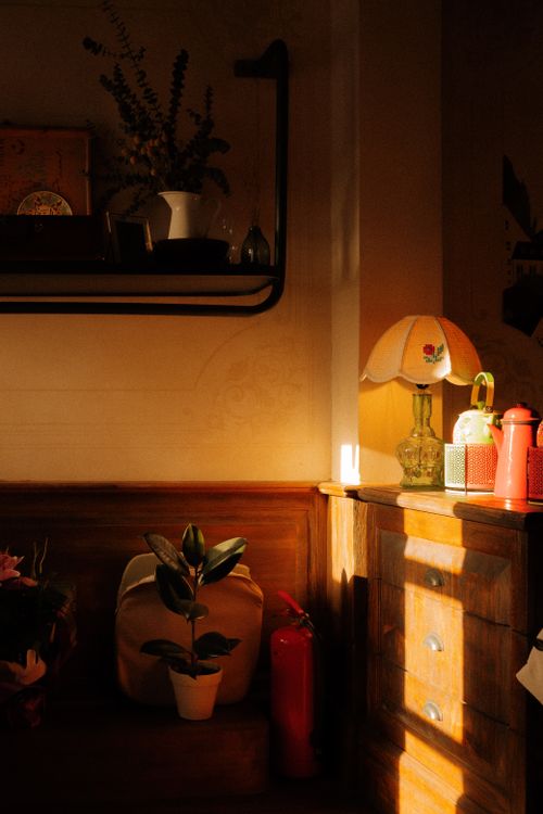Free Warm sunlight illuminating a vintage-style interior corner in Istanbul, showcasing potted plants and retro decor. Stock Photo