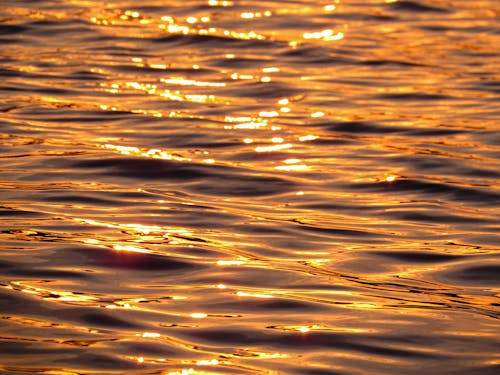 Golden sunset on the water