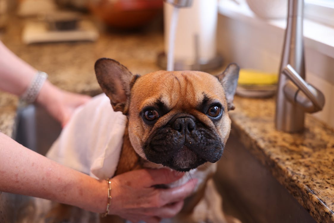 Wally. Bath Time. March 23, 2024